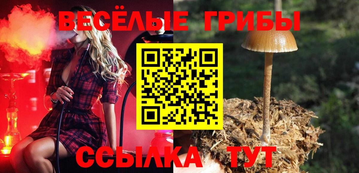 Галлюциногенные грибы Cubensis  Псилоцибиновые грибы ЛСД  Бахчисарай 