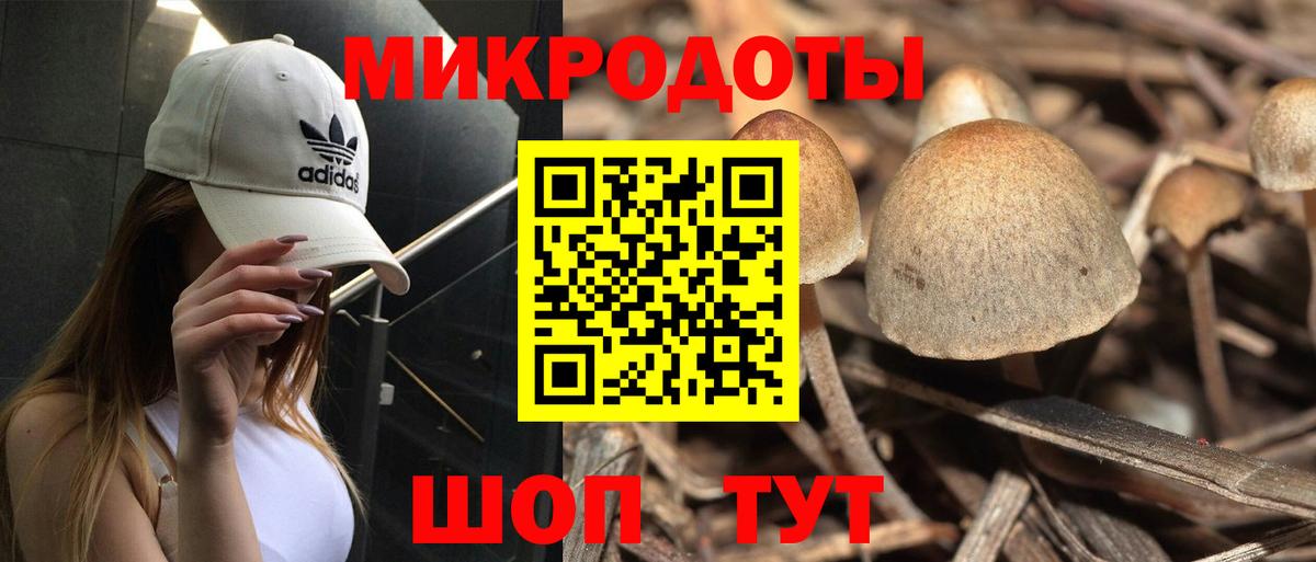 Бахчисарай  Псилоцибиновые грибы MAGIC MUSHROOMS  Вход с VPN 